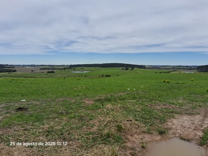 Imóvel rural em leilão