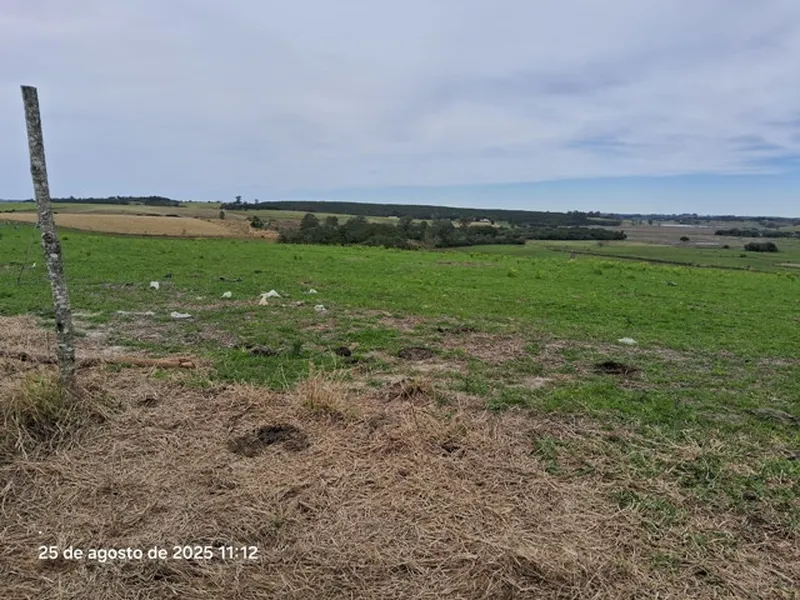 Imóvel rural em leilão
