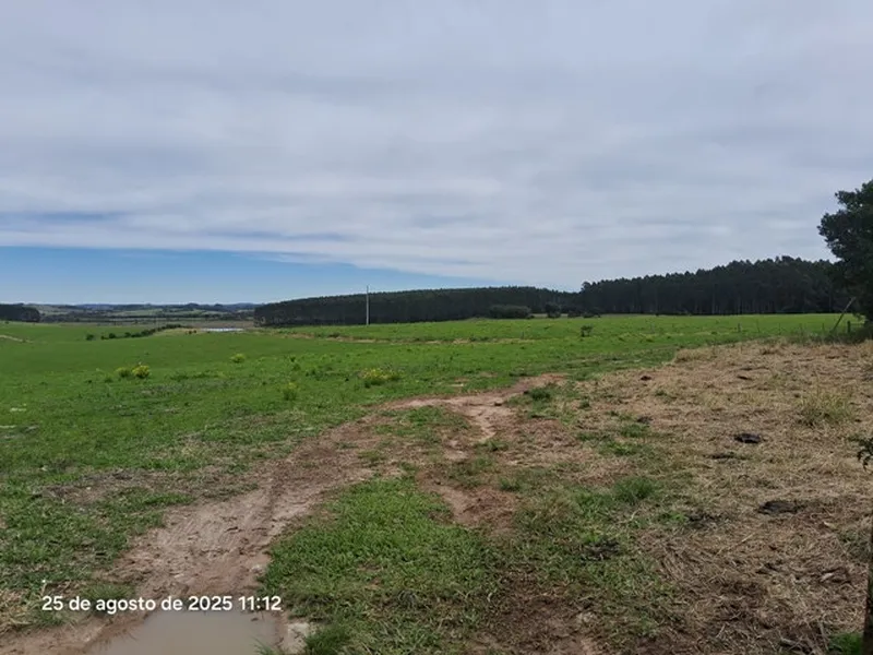 Imóvel rural em leilão