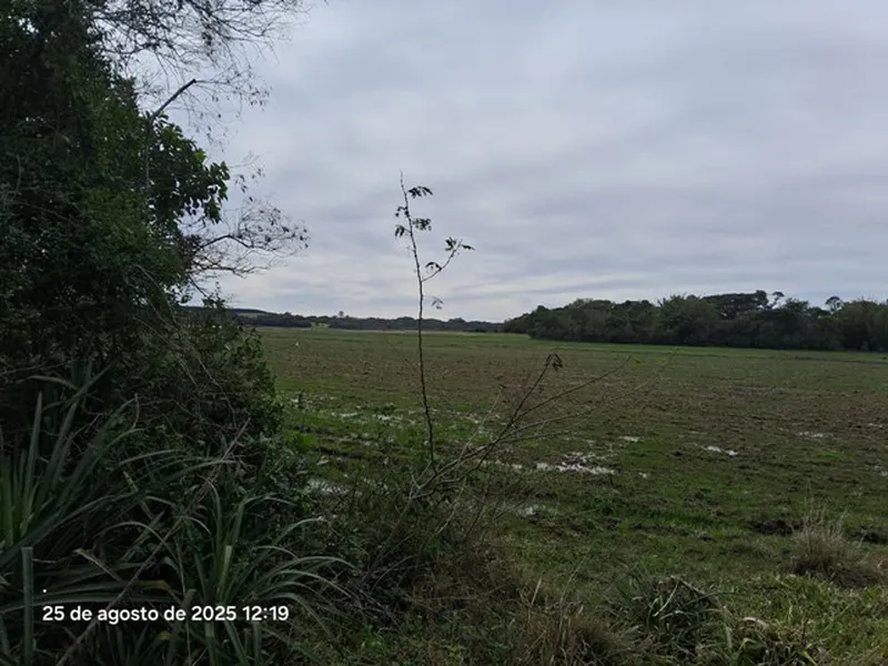 Imóvel rural em leilão
