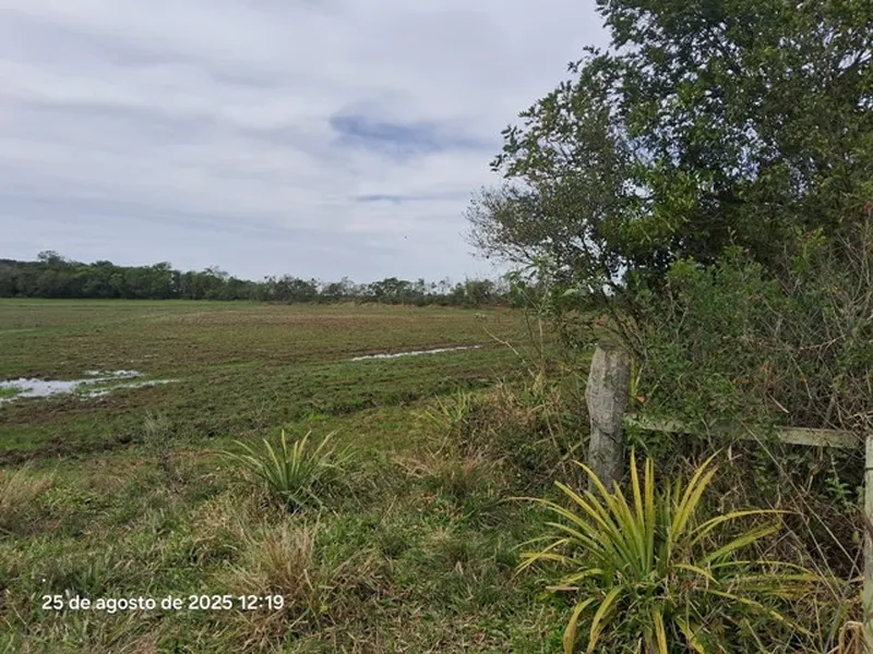Imóvel rural em leilão