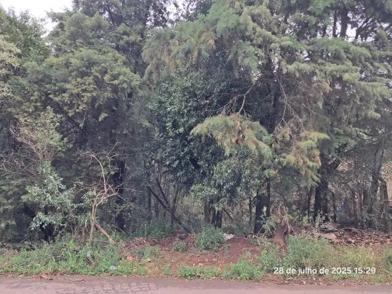 Terreno em Leilão Judicial