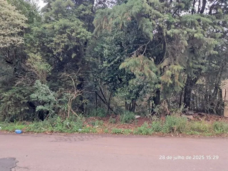 Terreno em leilão