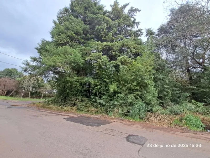 Terreno em Leilão Judicial