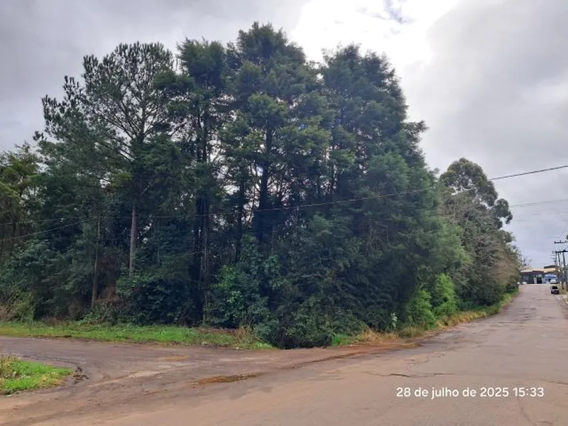 Terreno em Leilão Judicial
