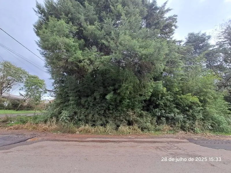 Terreno em leilão