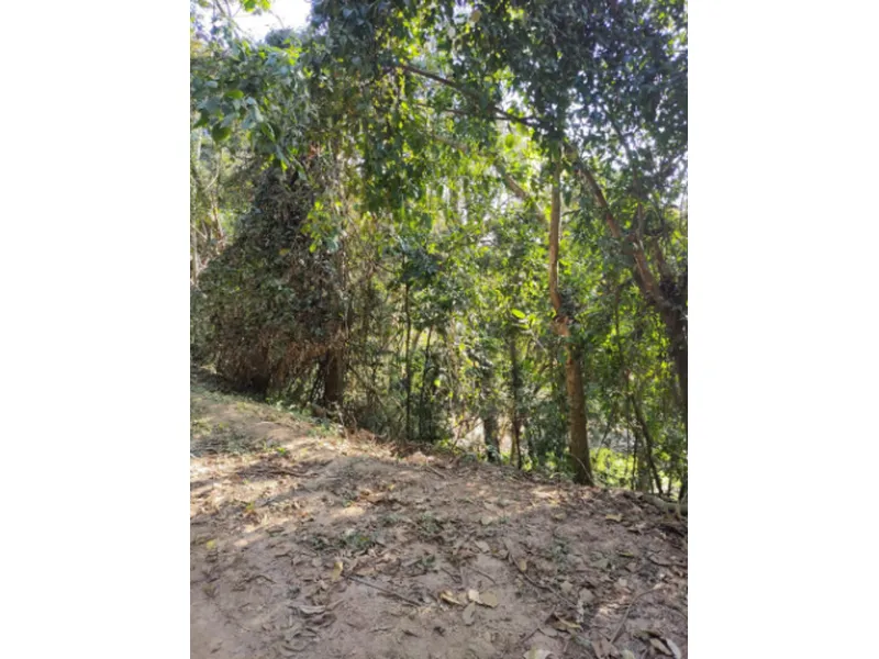 Terreno em Leilão Judicial