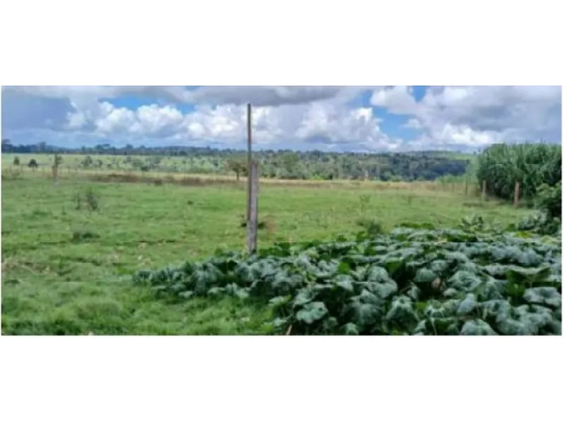 Imóvel rural em Leilão Judicial