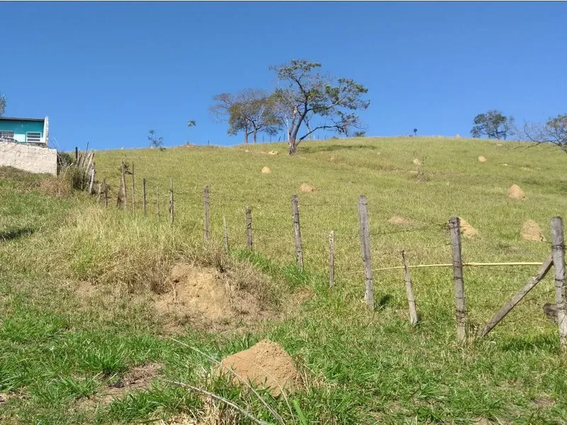 Gleba em leilão