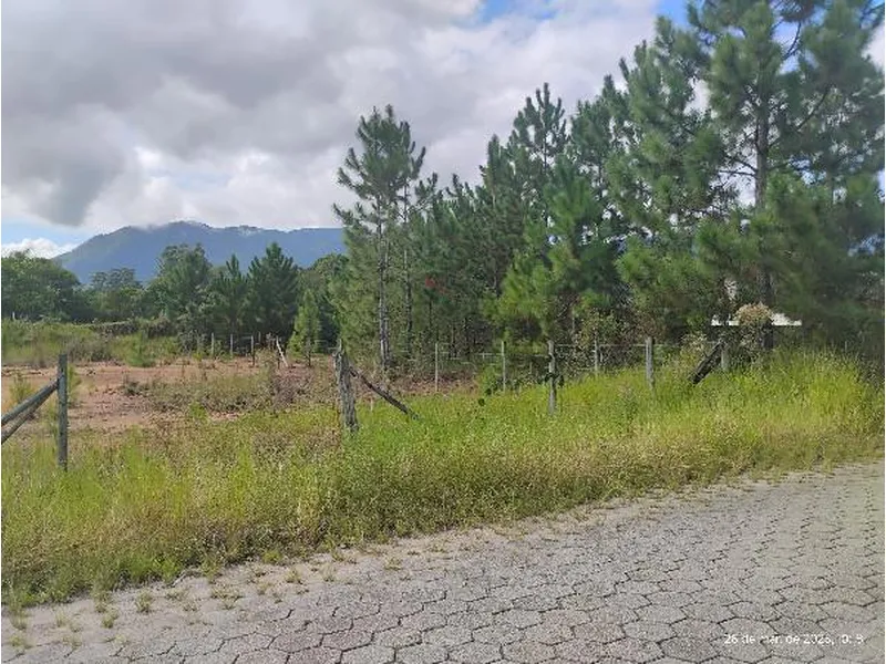 Terreno em Licitação