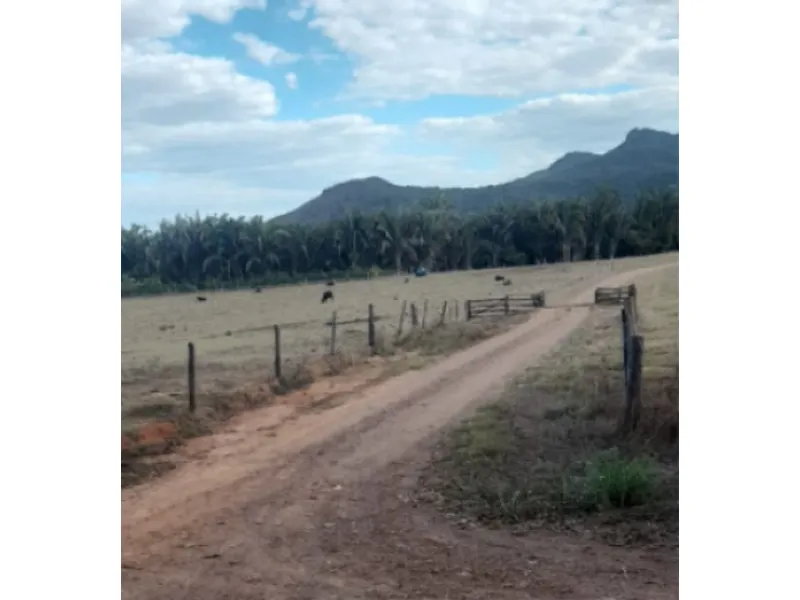 Imóvel rural em leilão