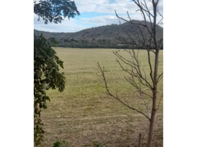 Imóvel rural em leilão