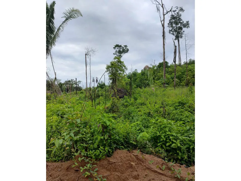Imóvel rural em Venda Direta