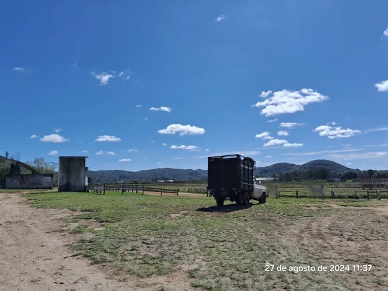 Imóvel rural em leilão