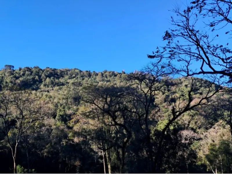 Imóvel rural em Venda Direta