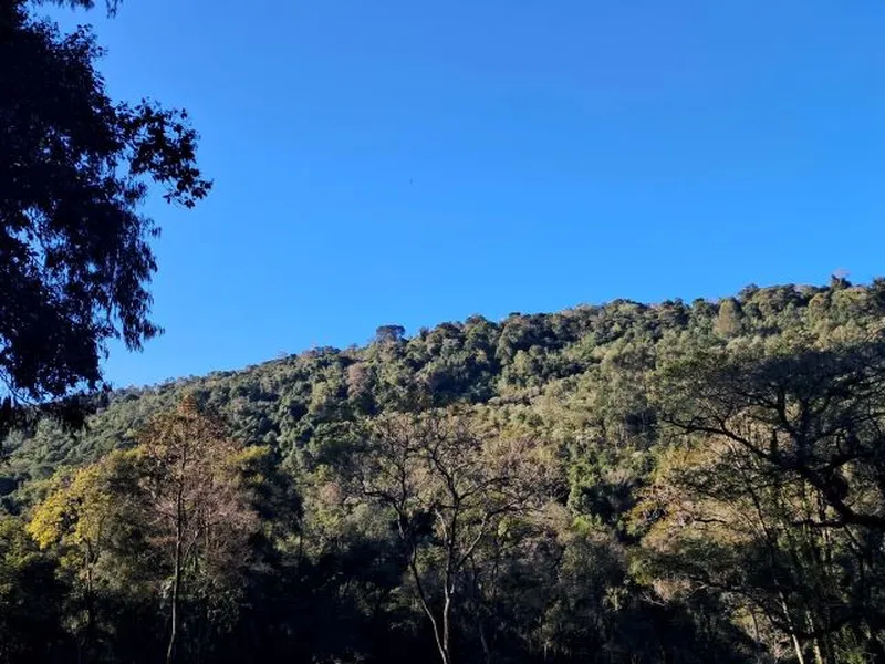 Imóvel rural em leilão