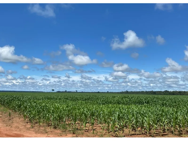 Imóvel rural em Venda Direta