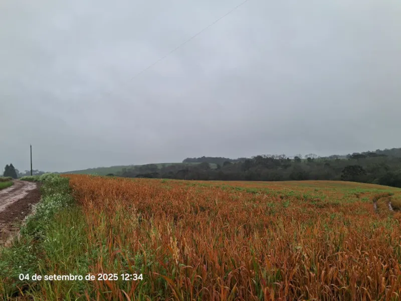 Imóvel rural em leilão