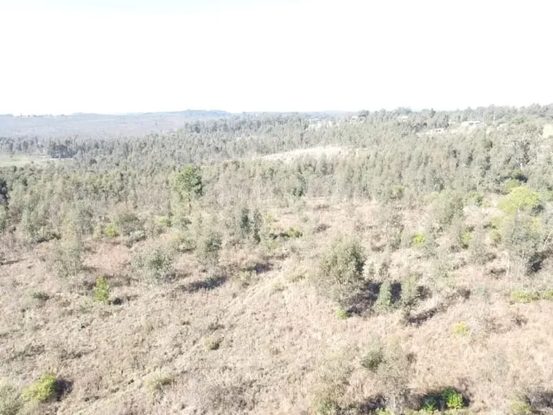 Imóvel rural em leilão