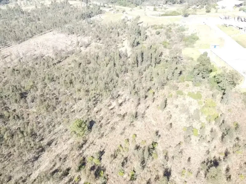 Imóvel rural em leilão