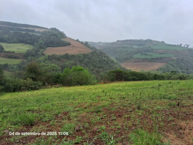 Imóvel rural em leilão