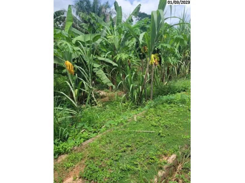Terreno em leilão