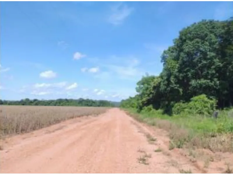 Imóvel rural em leilão
