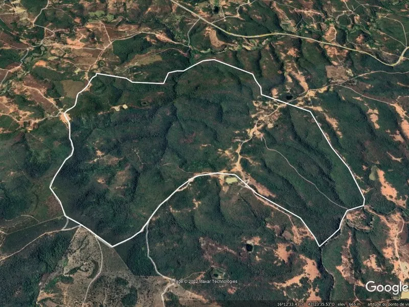 Outros em Leilão Judicial