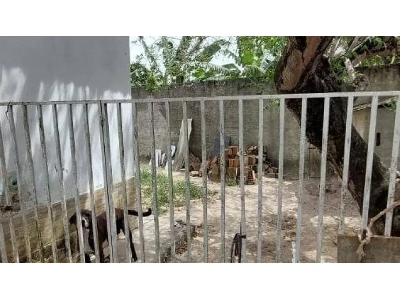 Casa em leilão