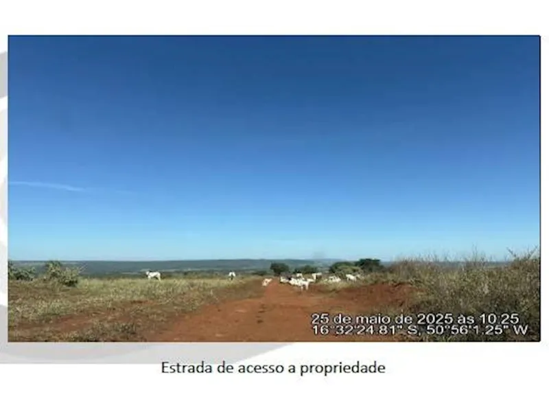 Imovel-rural em leilão