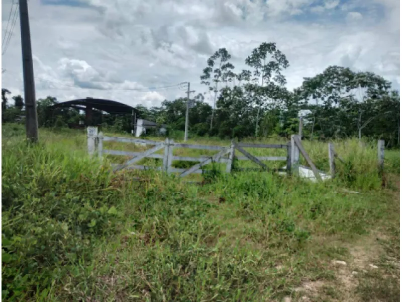 Imóvel rural em Leilão Judicial