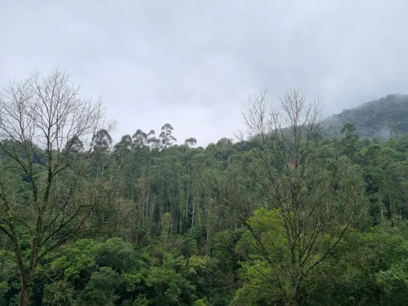 Imóvel rural em Venda Direta