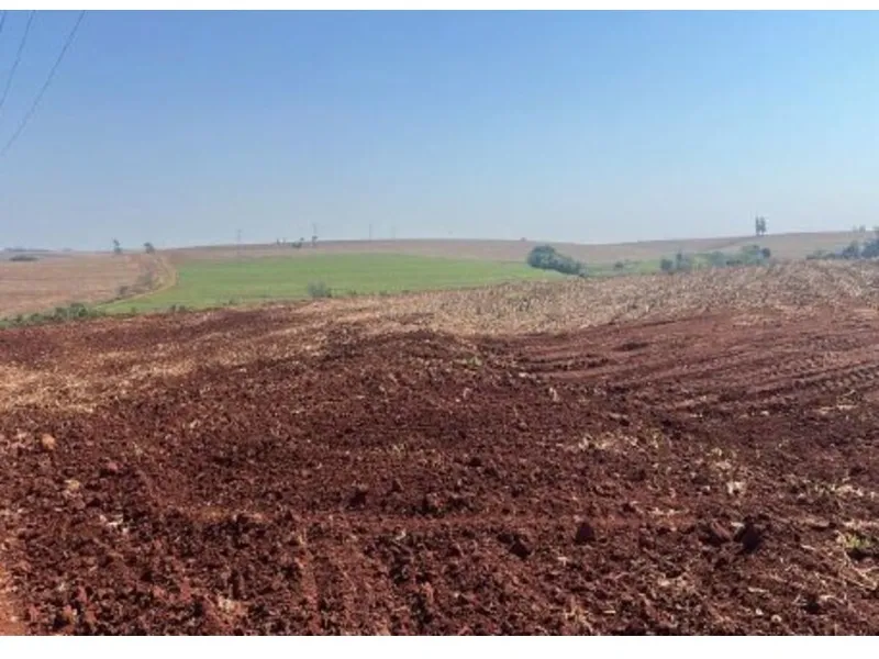 Imóvel rural em leilão