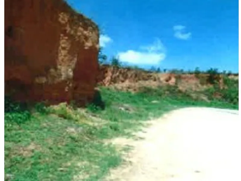 Gleba em Leilão Extrajudicial