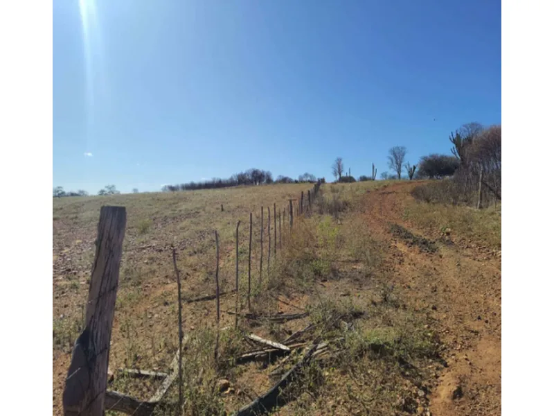 Imóvel rural em leilão