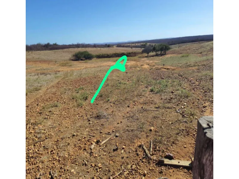 Imóvel rural em leilão