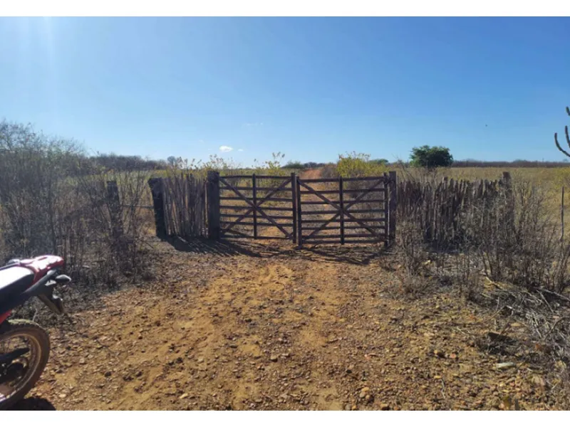 Imóvel rural em leilão
