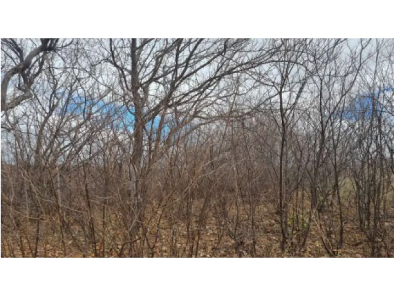 Imóvel rural em Leilão Judicial