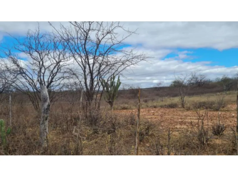 Imóvel rural em leilão