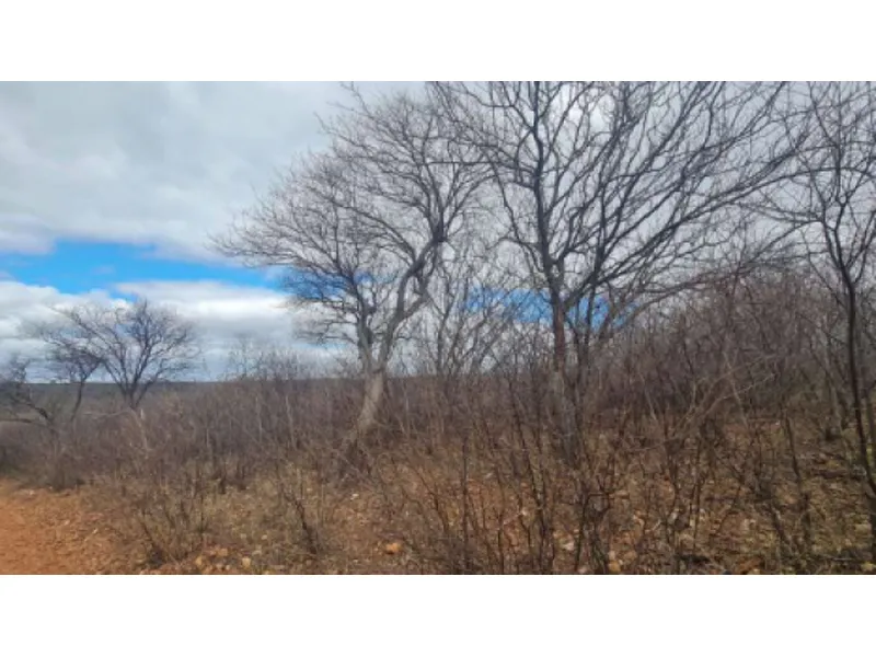 Imóvel rural em leilão