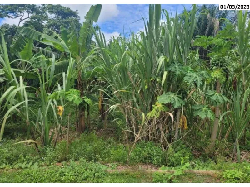 Terreno em Venda Direta