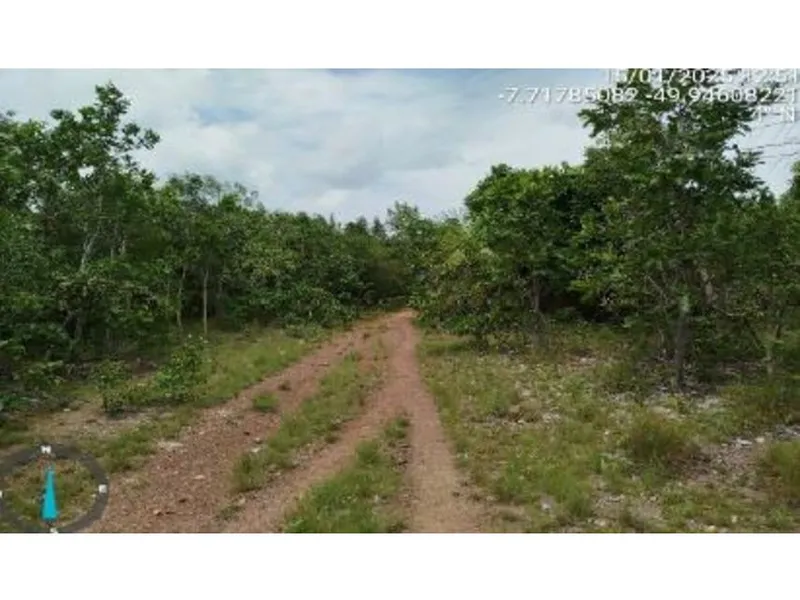 Imóvel rural em leilão