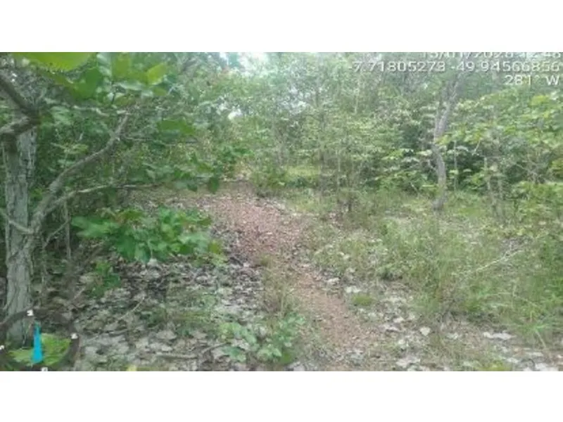 Imóvel rural em leilão