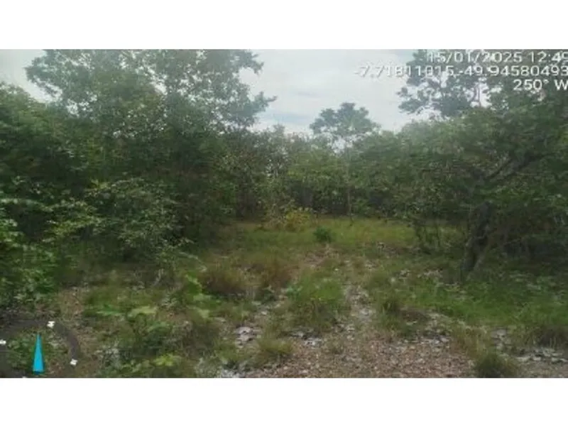 Imóvel rural em leilão