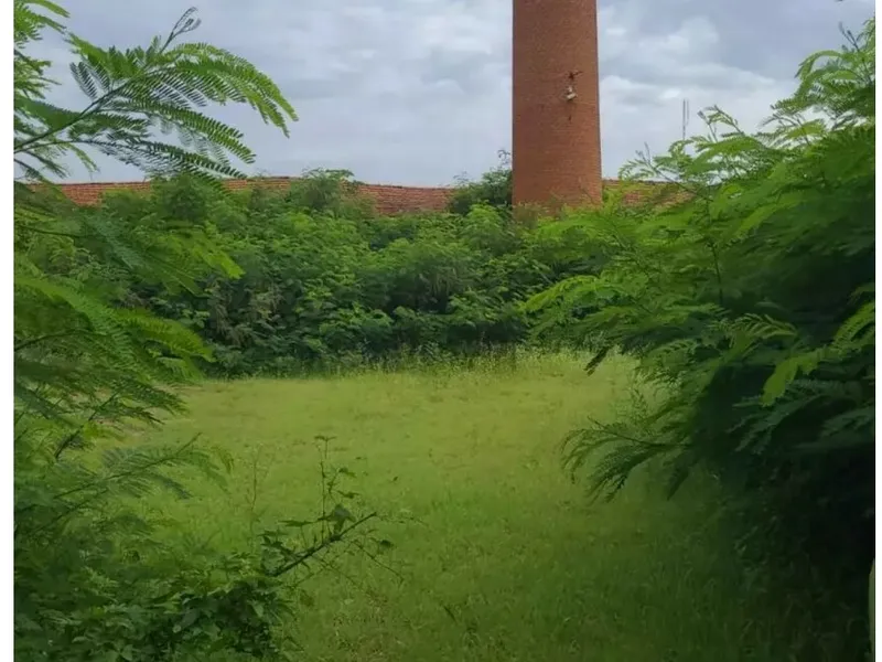 Comercial em leilão