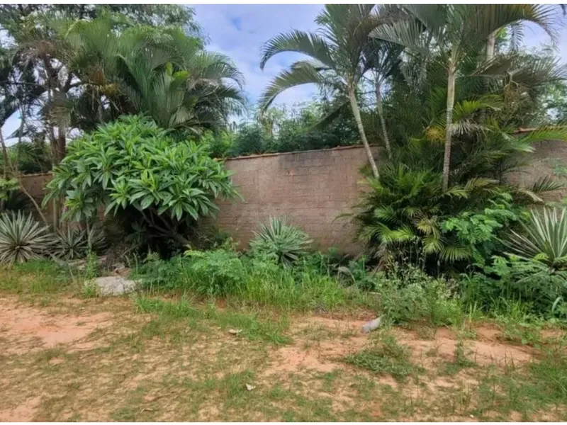 Comercial em leilão