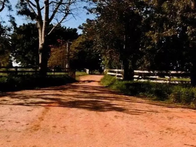 Imóvel rural em Leilão Judicial