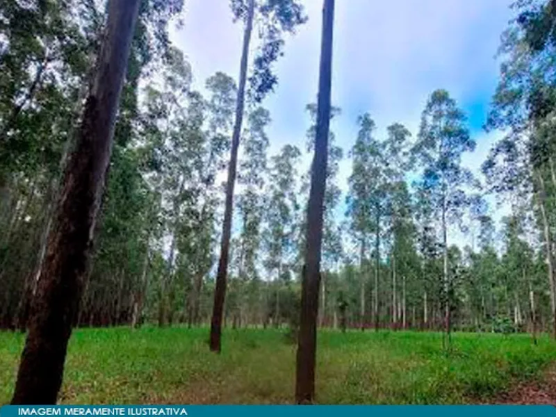 Outros em Leilão Judicial