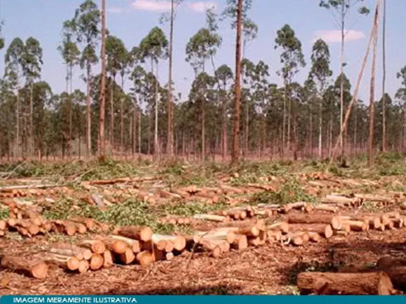 Outros em Leilão Judicial