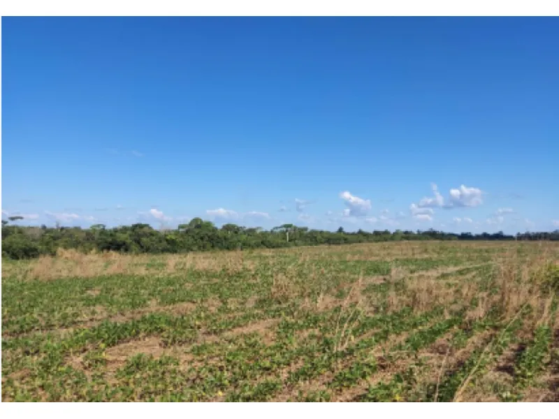 Imóvel rural em leilão